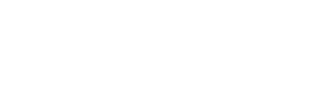 BI Capital